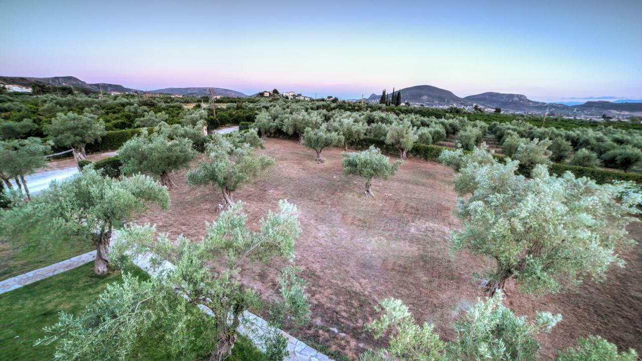 Agroktima Elia Apartment Nafplio Exterior photo